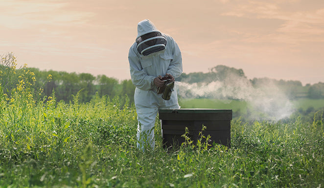 A day in the life of Manuka Pharm’s head bee-keeper